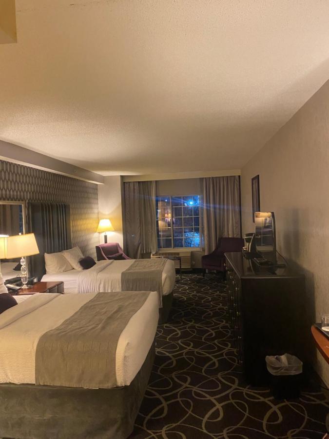 Park Manor Hotel クリフトン・パーク エクステリア 写真 A room at the Hilton Garden Inn